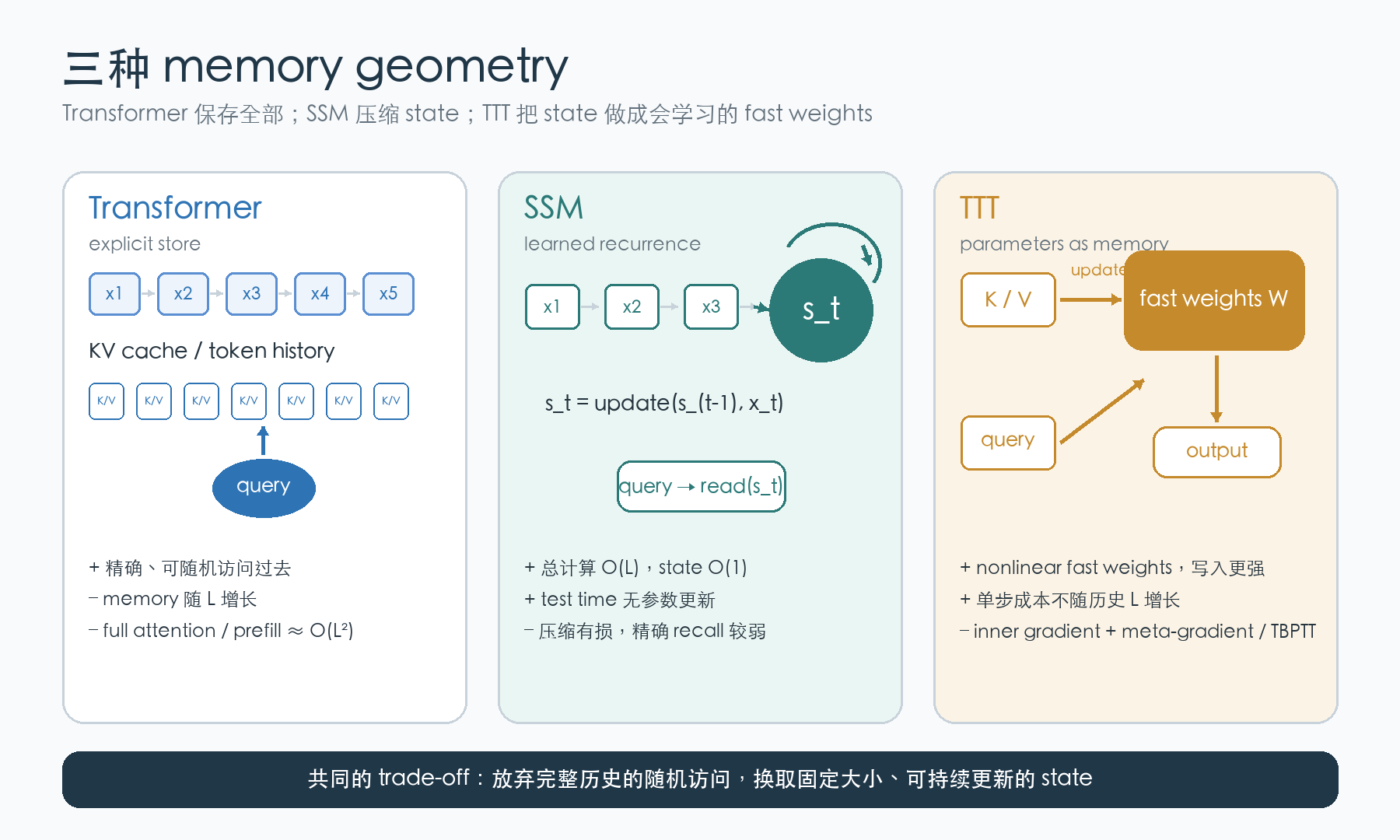 Transformer、SSM 与 TTT 的 memory geometry